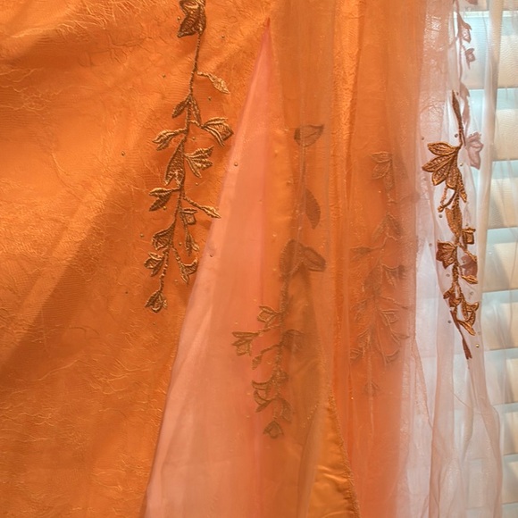 Elegant Peach Lace Prom Dress - Picture 3 of 5